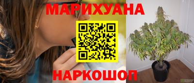 каннабис Коммунар