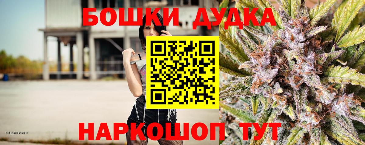 Бошки Шишки план  Вход с VPN  Волхов  Канабис SATIVA & INDICA  Бошки Шишки Amnesia 